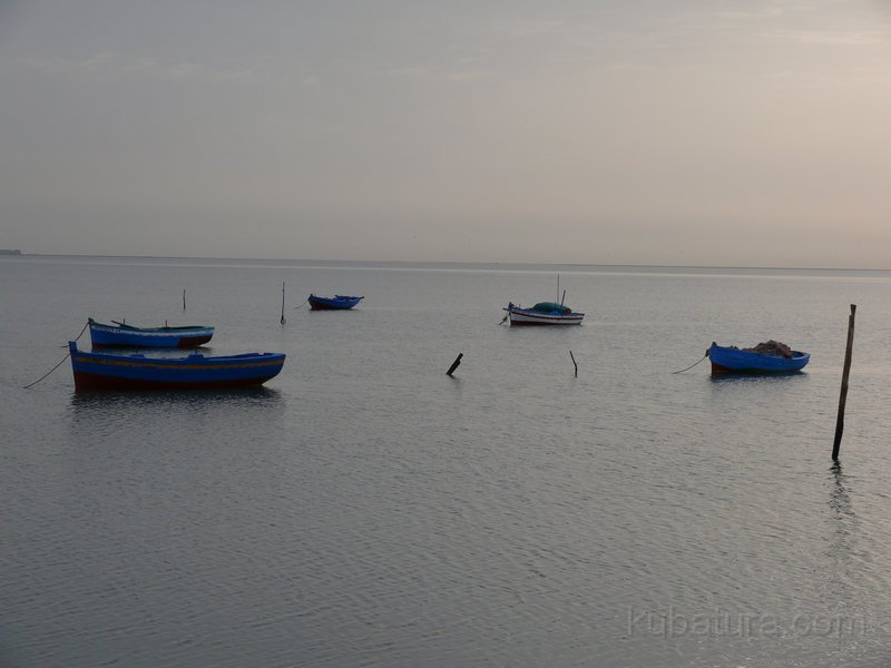 004 P1050452.jpg